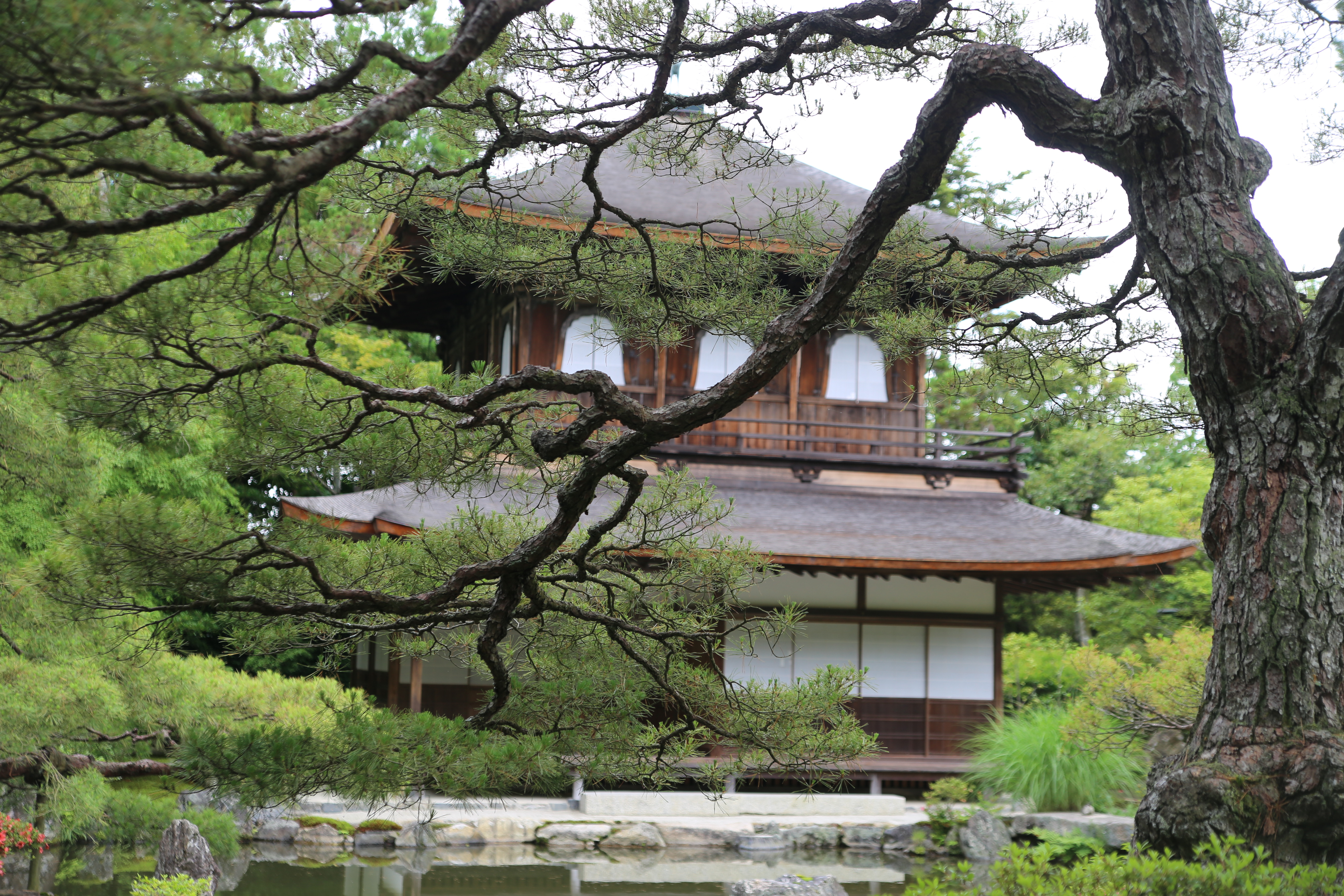 Ginkaku-ji — the Silver Pavilion in Kyoto, framed by pine branches and reflected in the pond